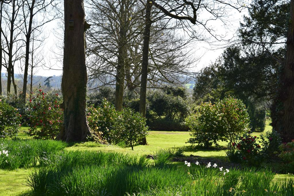 Llansabbath Country House B&B Abergavenny Exterior foto