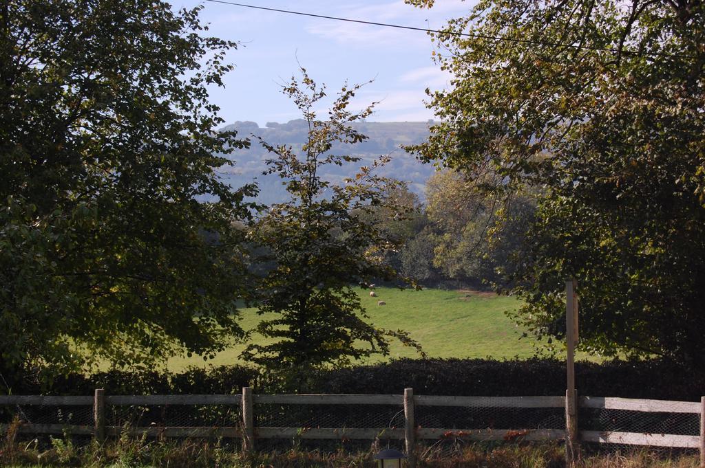 Llansabbath Country House B&B Abergavenny Exterior foto